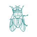 Disinfestazione mosche a roma