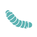 Disinfestazioni tarli provincia di roma