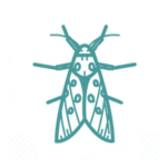 Disinfestazione tarme provincia roma