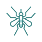 Disinfestazione impianti anti zanzare a roma